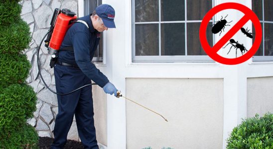 Korgan Hamam Böceği İlaçlama böcek ilaçlama ve haşere kontrolü — ilaclama-tr.com
